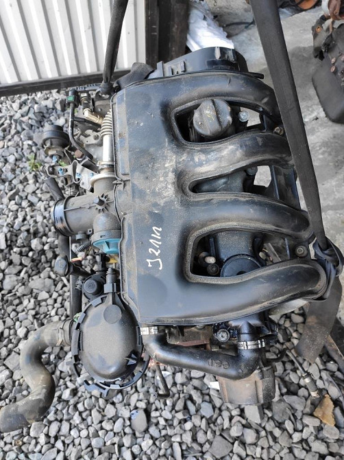 Двигун в зборі DW8 Citroen Berlingo 1.9 D 1996-2007 Ковель - фото 6