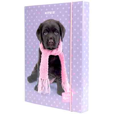 Папка для тетрадей Kite В5 на резинке Studio Pets, картон (SP23-210) Винница