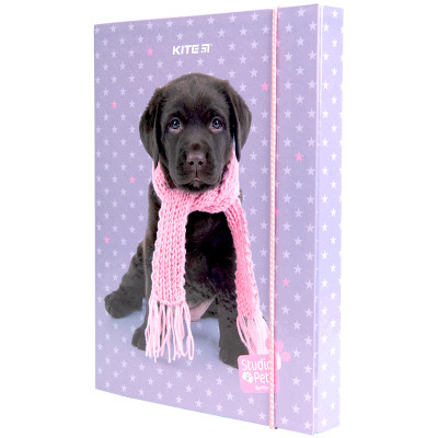 Папка для зошитів Kite В5 на гумці Studio Pets, картон (SP23-210) Вінниця - фото 1