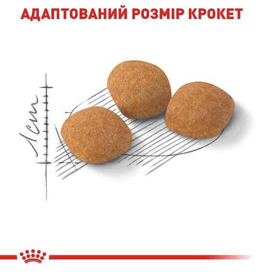 Корм для кошек ROYAL CANIN EXIGENT PROTEIN 2.0 кг, привередливых к питательности рациона. Киев