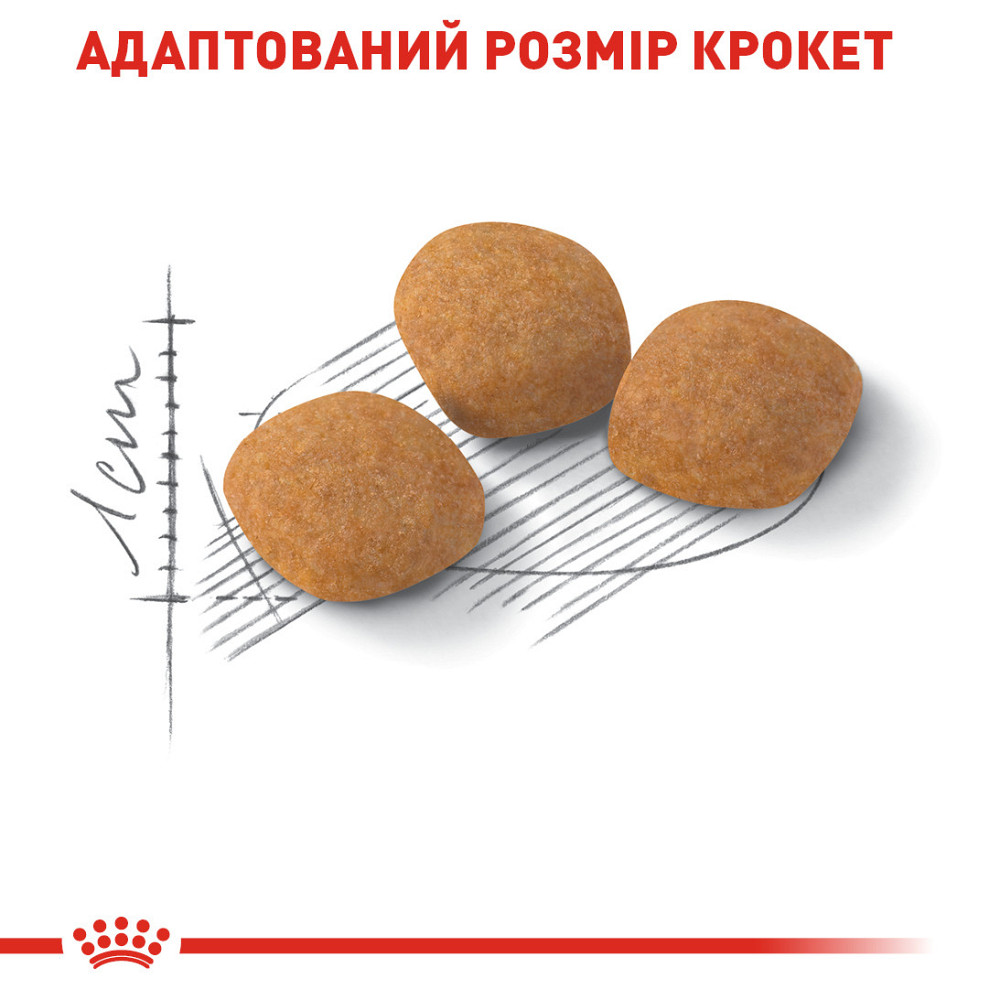 Корм для котів ROYAL CANIN EXIGENT PROTEIN 2.0 кг, вибагливих до поживності раціону Київ - фото 4