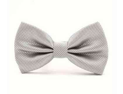 Метелик чоловічий сріблястий Київ