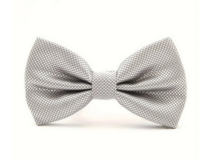 Бабочка мужская серебристая Киев - изображение 1