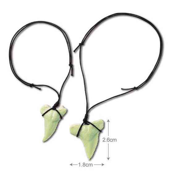 Набір для розкопок 4M Сяючі зуби акули (00-05918) Харків