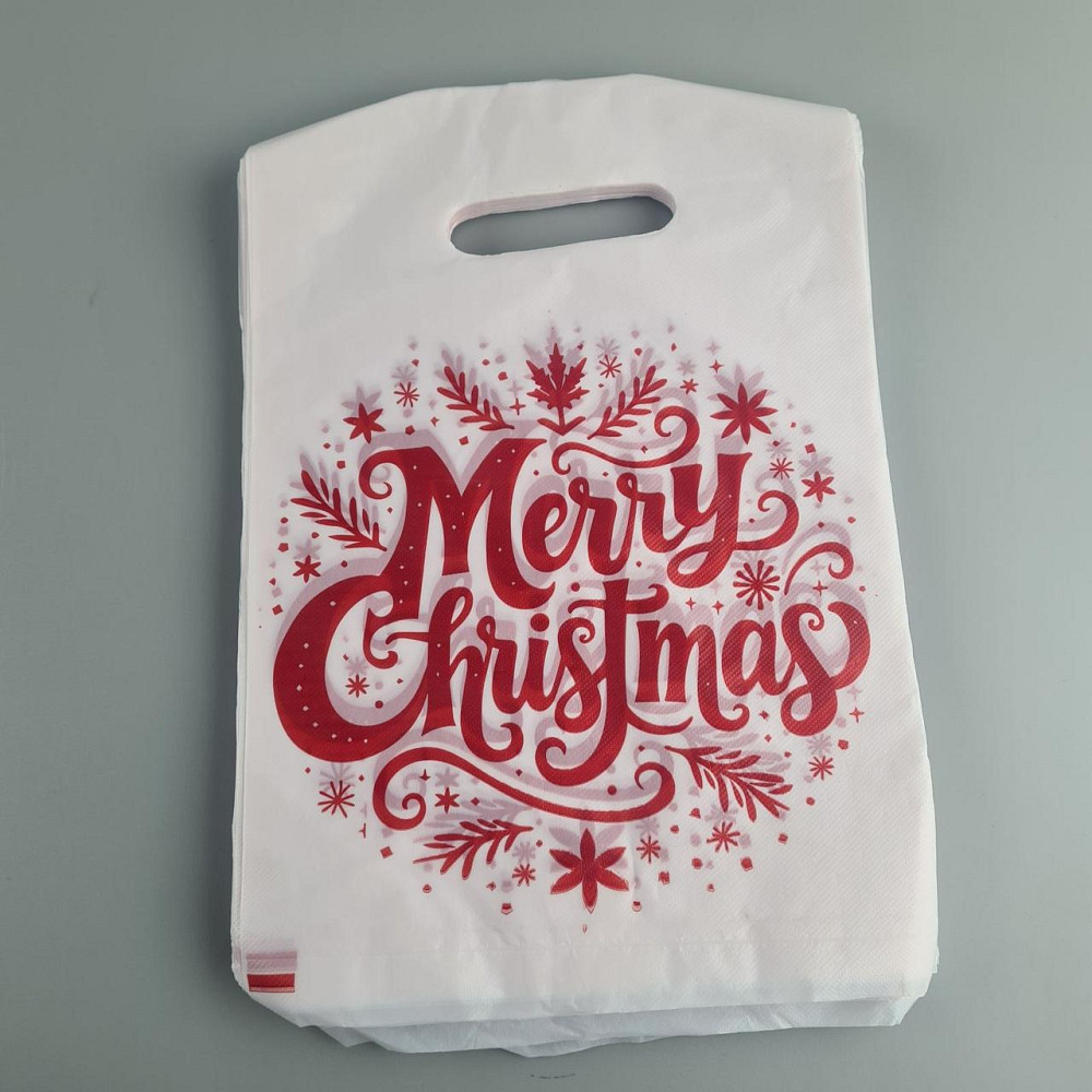 Пакеты с вырубной ручкой (20*30) 