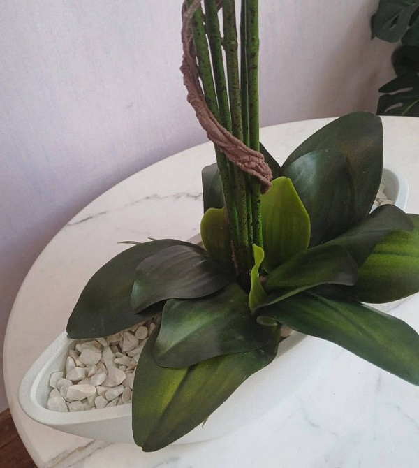 Штучна латексна орхідея преміум у білому керамічному кашпо на п'ять гілок біла Дніпро - фото 4