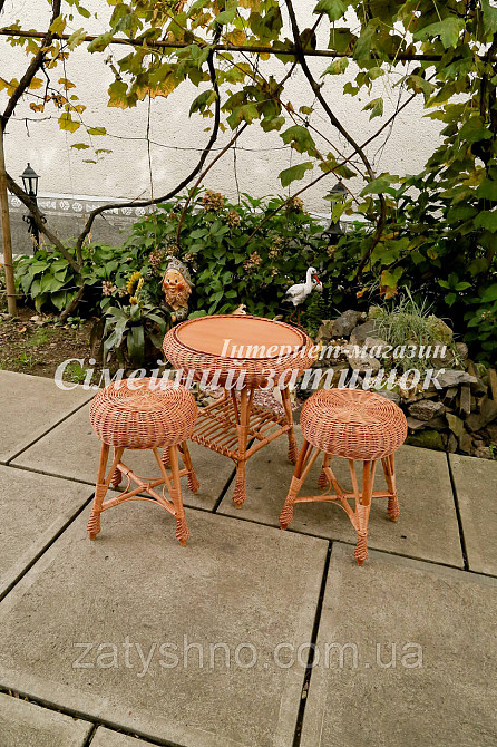 Мебель плетеная с журнальным столом Киев - изображение 3