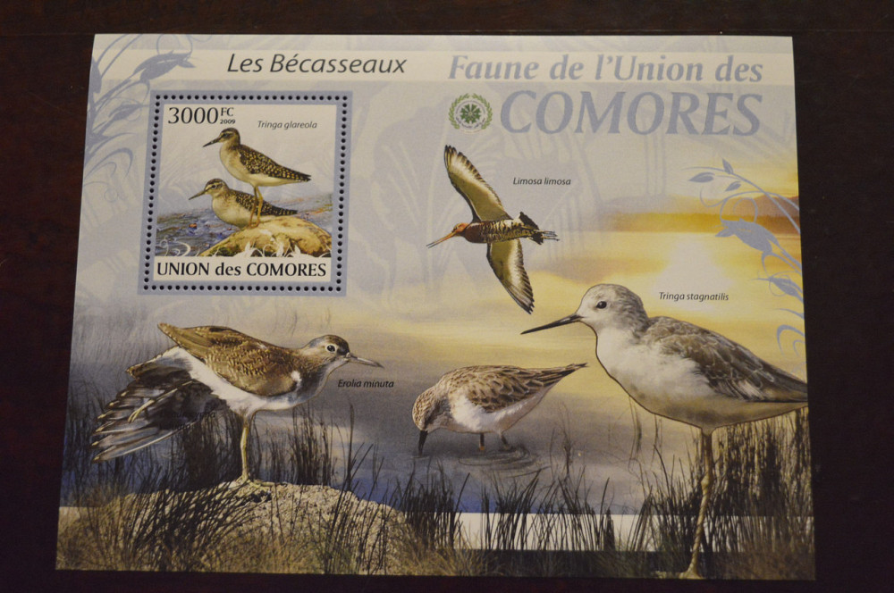Коморы. Фауна. 2009 год (А) Полтава - изображение 1