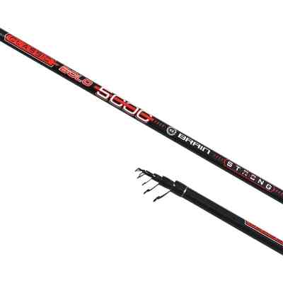 Вудилище Brain Classic Strong Bolo 4.00m 10-30g (1858.54.99) Вінниця