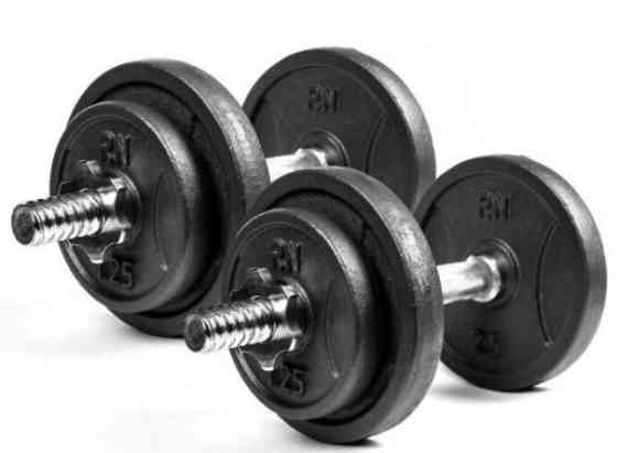 Набір 100 кг Штанга + W-подібний гриф + Гантелі розбірні Гантелі, гирі, штанги та диски металеві диски Київ