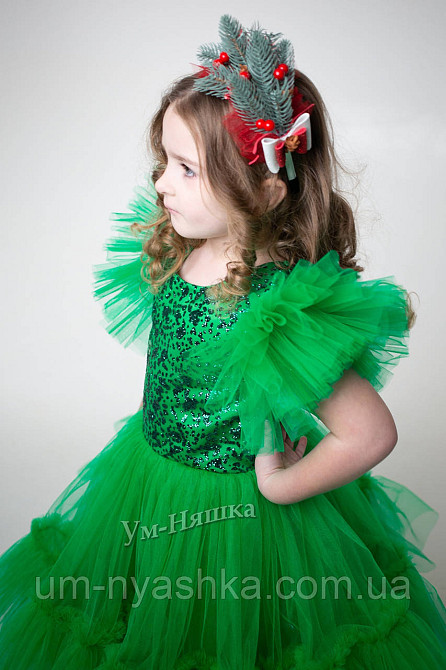 Обруч обідок Ялинка №4 Хвойна Кривий Ріг - фото 4