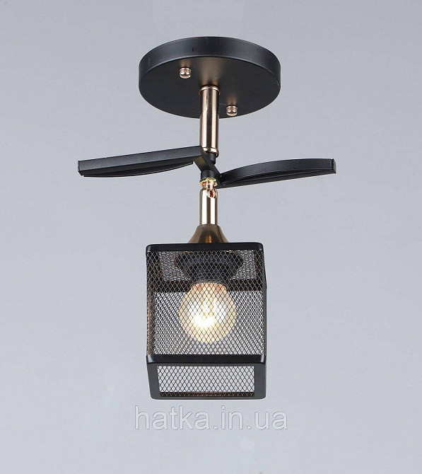 Потолочный светильник B N5708/1 BK+FGD Киев - изображение 1