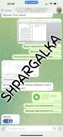 Перевірка дипломної роботи на академічну доброчесність на замовлення Дніпро - фото 5