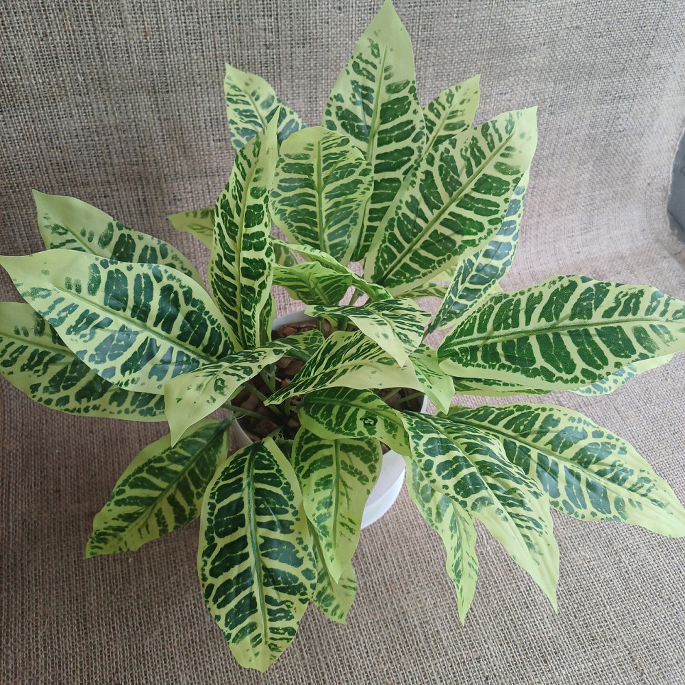 Штучний кущ аглонеми ківі із латексу Дніпро - фото 2