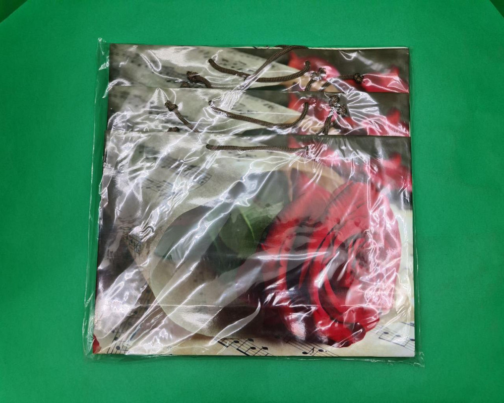 Паперовий великий горизонтальний пакет 36/22/10 (артBG-095) (12 шт.) Харків - фото 2