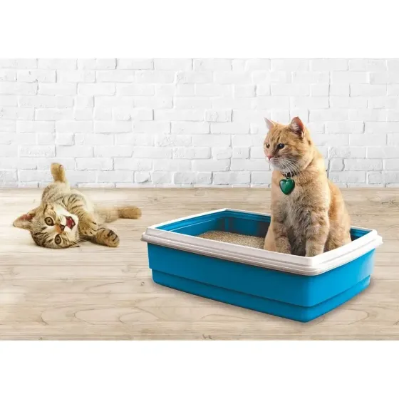 Туалет для котів Georplast Jumbo з бортиком 54х40х14 см Київ