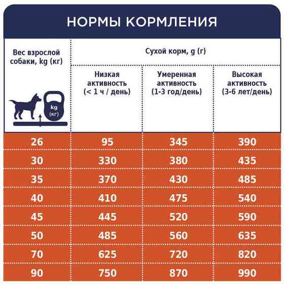 Club 4 Paws (Полуб 4 Лапи) Premium Adult Large Breed Chicken сухий корм із куркою для собак великих порід Запоріжжя