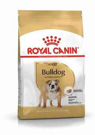 Royal Canin Bulldog Adult (Роял Канін Бульдог Едалт) сухий корм для англійських бульдогів від 12 місяців Запоріжжя