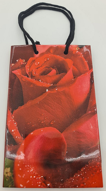 Пакет паперовий подарунковий малий 11/18/5 (арт М056) (12 шт.) Харків - фото 3