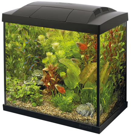 Акваріумний стартовий набір SuperFish Start 50 Aquarium Kit Black (A4050281) Київ