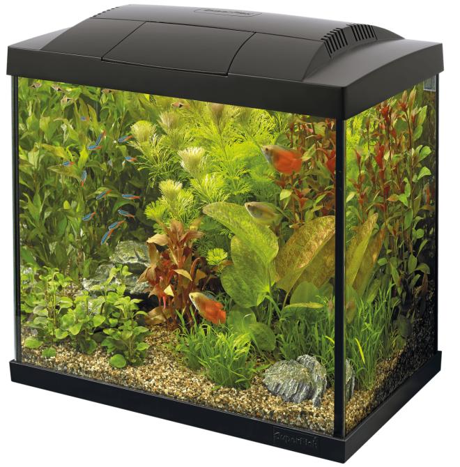Акваріумний стартовий набір SuperFish Start 50 Aquarium Kit Black (A4050281) Київ - фото 1
