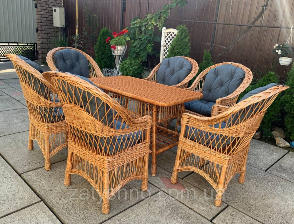 Комплект меблів, великий набір з кріслами та подушками Київ - фото 2
