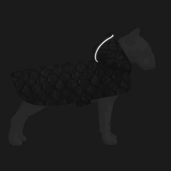 Дощовик-накидка з капюшоном для собак WAUDOG Clothes, малюнок "Луска", L, А 48-52 см, B 60-70 см, С 42-52 см Київ
