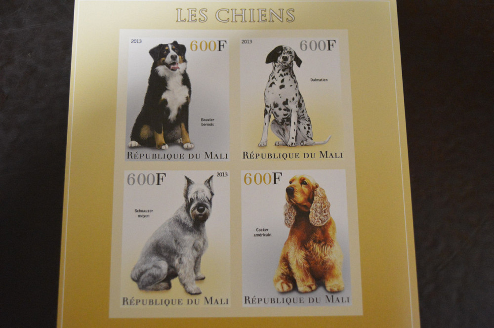 Мали. Фауна. Блок. 2014 год (А-20) Полтава - изображение 1