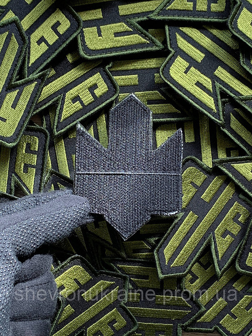 Шеврон ЗСУ (Форма контурная. На липучке) Размер 9x6.5см Киев - изображение 7