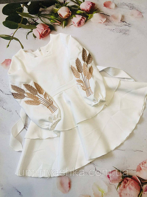 Дитяче плаття з вишивкою на рукавах Поділля-колоски Кривий Ріг - фото 7