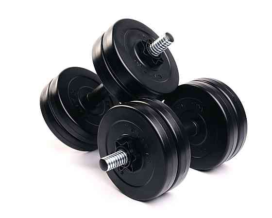 Гантелі Elitum 2 х 11кг Київ