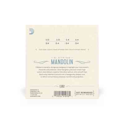 Струны для гитары D'Addario Mandolin 80/20 Bronze Light (10-34) (EJ62) Винница