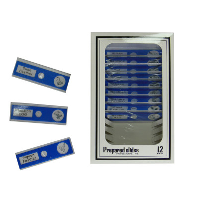 Набор микропрепаратов Sigeta Entrance Покривні тканини тварин 12 шт (65123) Винница - изображение 2