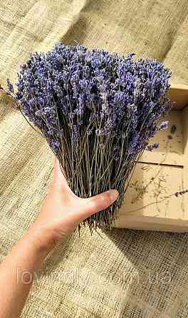Веточки лаванды для творческих проектов, эстетического оформления товаров, подарков. Ирпень