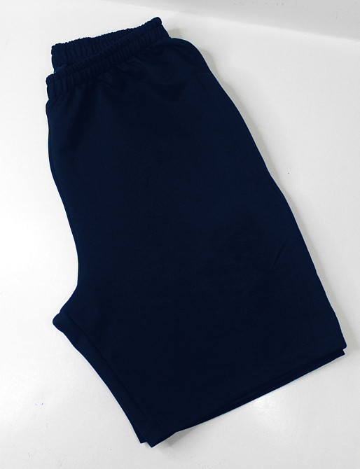 Шорти чоловічі спортивні Синій 54 Харків - фото 2