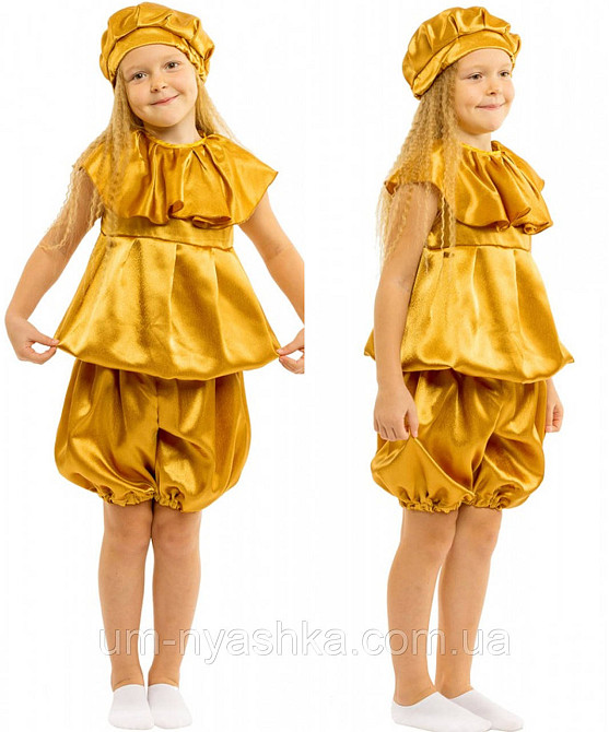 Костюм Картопля, Карнавальний костюм Картоплі Кривий Ріг - фото 1