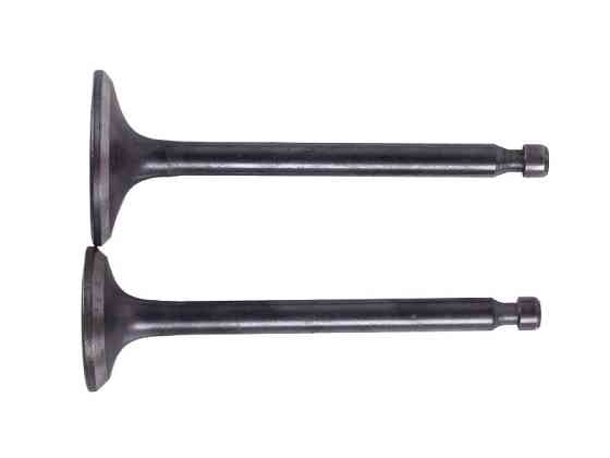 Клапани (пара, голі) мотоблок 178F (6Hp) -2 Мукачево