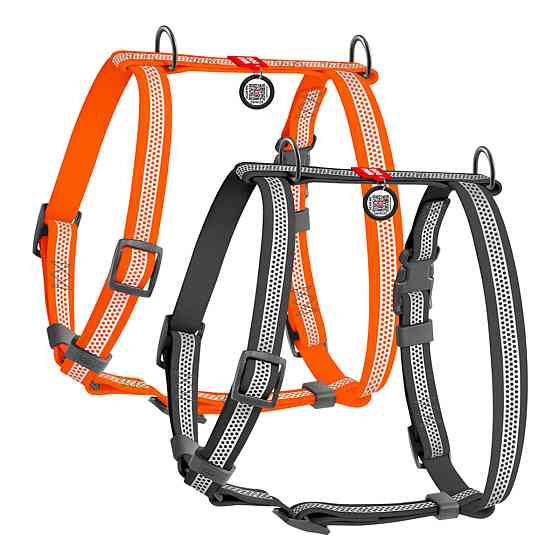 Шлей для собак водостойкая анатомическая Н-образная WAUDOG Waterproof с QR-паспортом, светоотражающая, пластиковая пряжка-фастекс, XL, Ш 40 мм, А 60-9 Киев