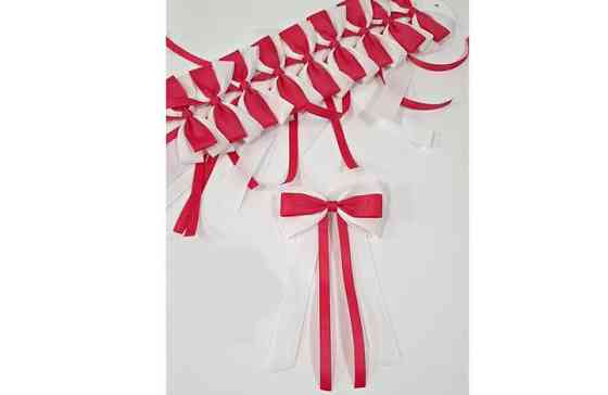 Заколки для девочки мода Бантики 2 шт Киев