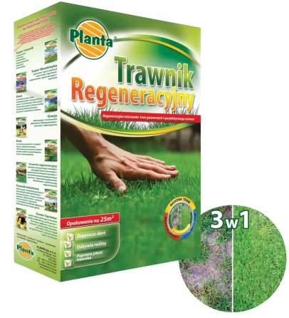 Семена травы газонной Regeneracyjna (регенерирующая) Супер травник, 1 кг Винница