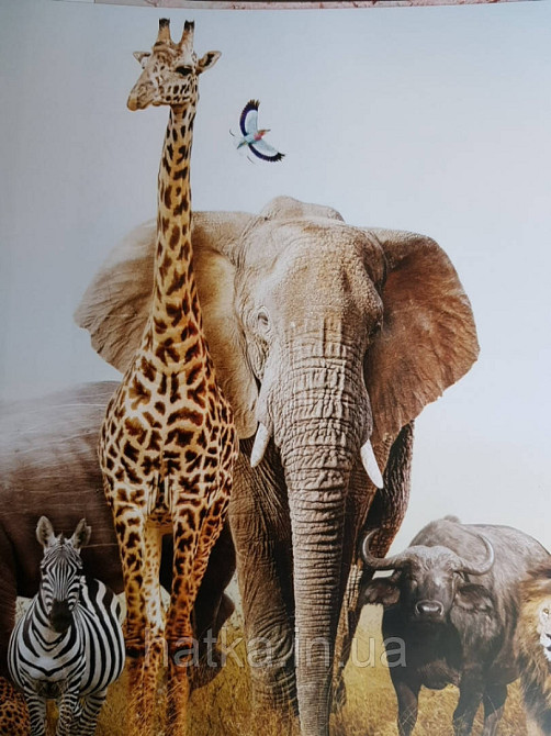Шпалери вінілові на флізелін тварини птахи риби Київ - фото 8