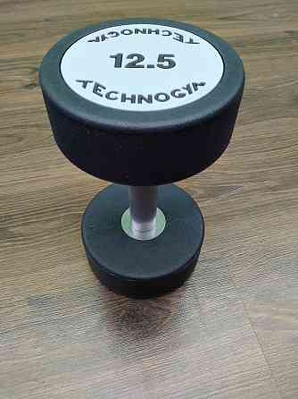 Гантель 12.5 кг цільна поліуретанова TECHNOGYM Київ