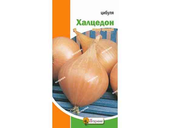 Цибуля Халцедон (20 пачок) 1г ТМ ЯСКРАВА Киев