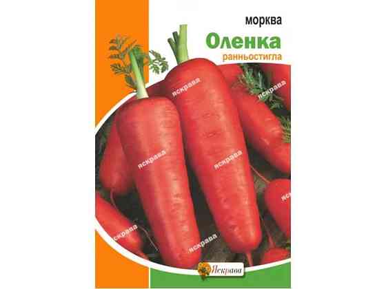 Морковь Оленка макси (10 пачек) 10г ТМ ЯСКРАВА Киев