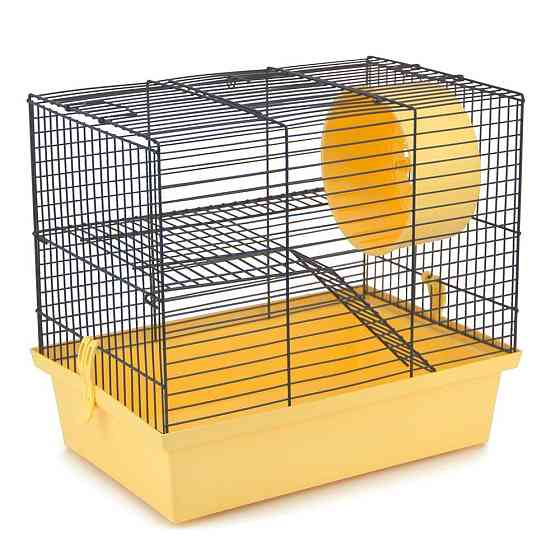 Клітка для дрібних гризунів Хом'як-2 оцинкована  33х23х29 см Лорі Київ