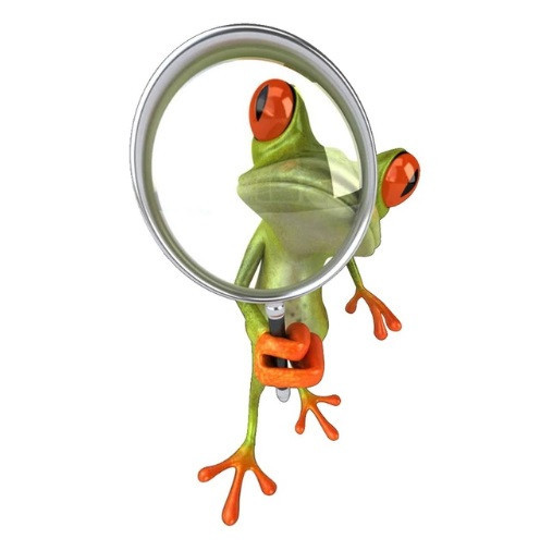 Наклейка Лягушка с лупой 15 на 9 см разноцветный Киев - изображение 1