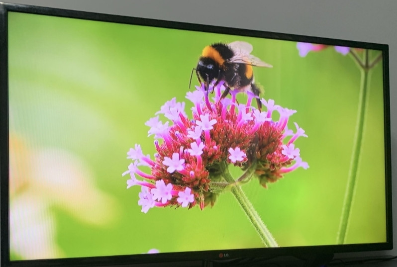 Телевизор LG 50