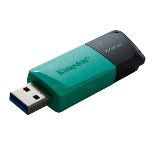 Флешка 256Гб USB 3.2 чорний/бірюзовий DT Exodia M Kingston Житомир - изображение 4