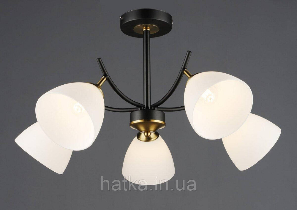 Потолочный светильник N6602/5 Киев - изображение 1