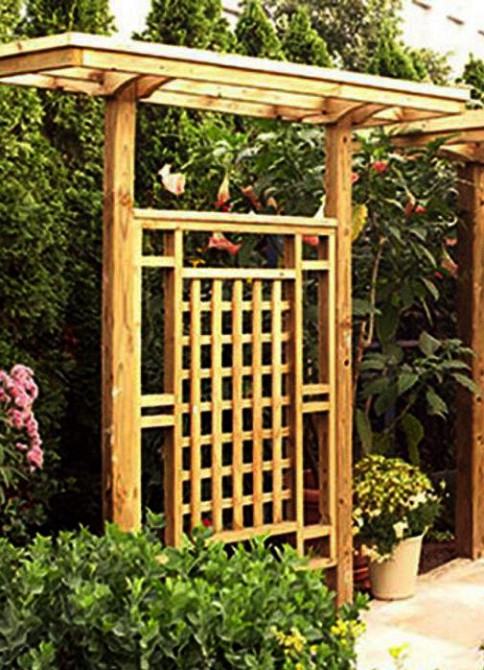 Пергола-шпалера 